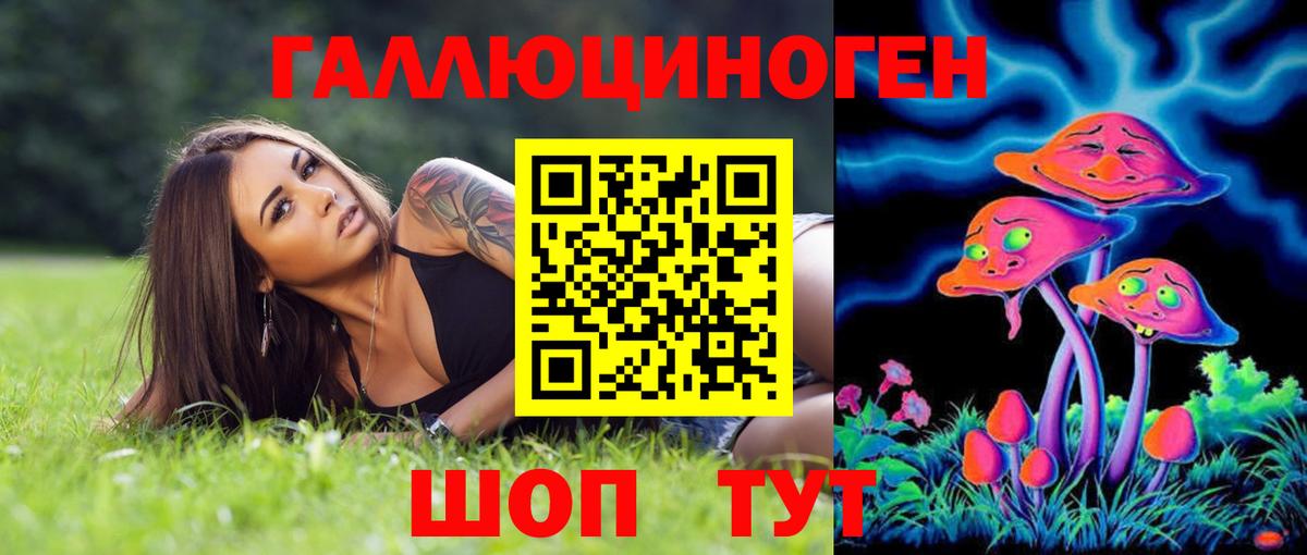 Выборг  Галлюциногенные грибы MAGIC MUSHROOMS  Вход с VPN  Галлюциногенные грибы прущие грибы 
